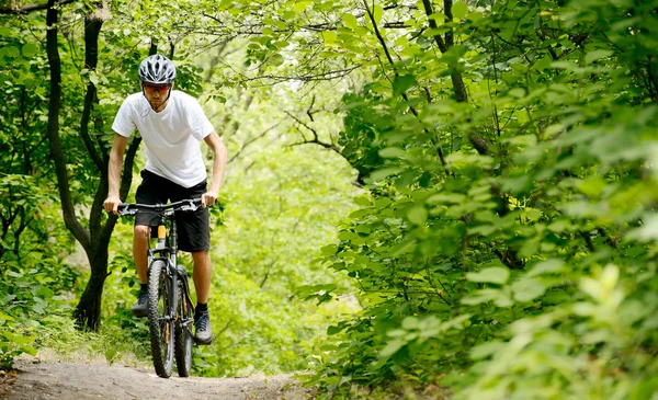 Велосипедист, езда на велосипеде на след в лесу — стоковое фото