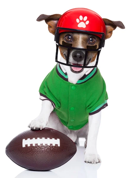 Смешные американский футбол регби собака Лицензионные Стоковые Фото