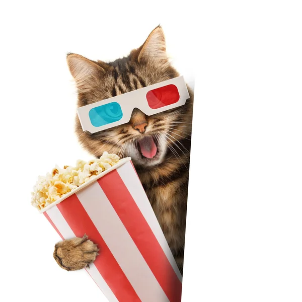 Кошка в 3d очках с попкорном корзина — стоковое фото