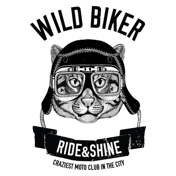 Старинные изображения кошки рыбалки за футболку дизайн для мотоцикл, велосипед, мотоцикл, скутер клуб, Аэро Клуб — стоковое фото