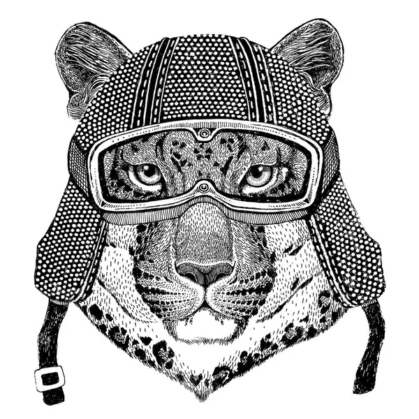 Дикая кошка Leopard кошка o гора пантера носить старинных мотоциклов шлем тату, знак, Эмблема, логотип, патч, футболку — стоковое фото