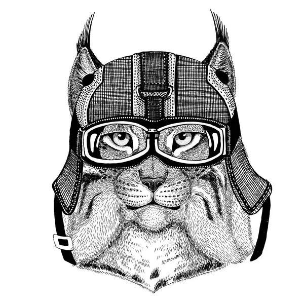 Дикие кошки рысь Bobcat Трот носить мотоциклетный шлем, шлем летчика иллюстрации для футболку, патч, логотип, знак, Эмблема, логотип байкер футболку с дикими животными — стоковое фото