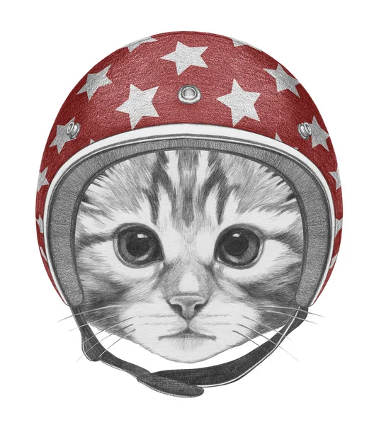 Портрет Китти в шлеме — стоковое фото