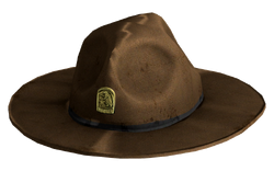 Ranger Hat