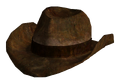 Ranger brown hat
